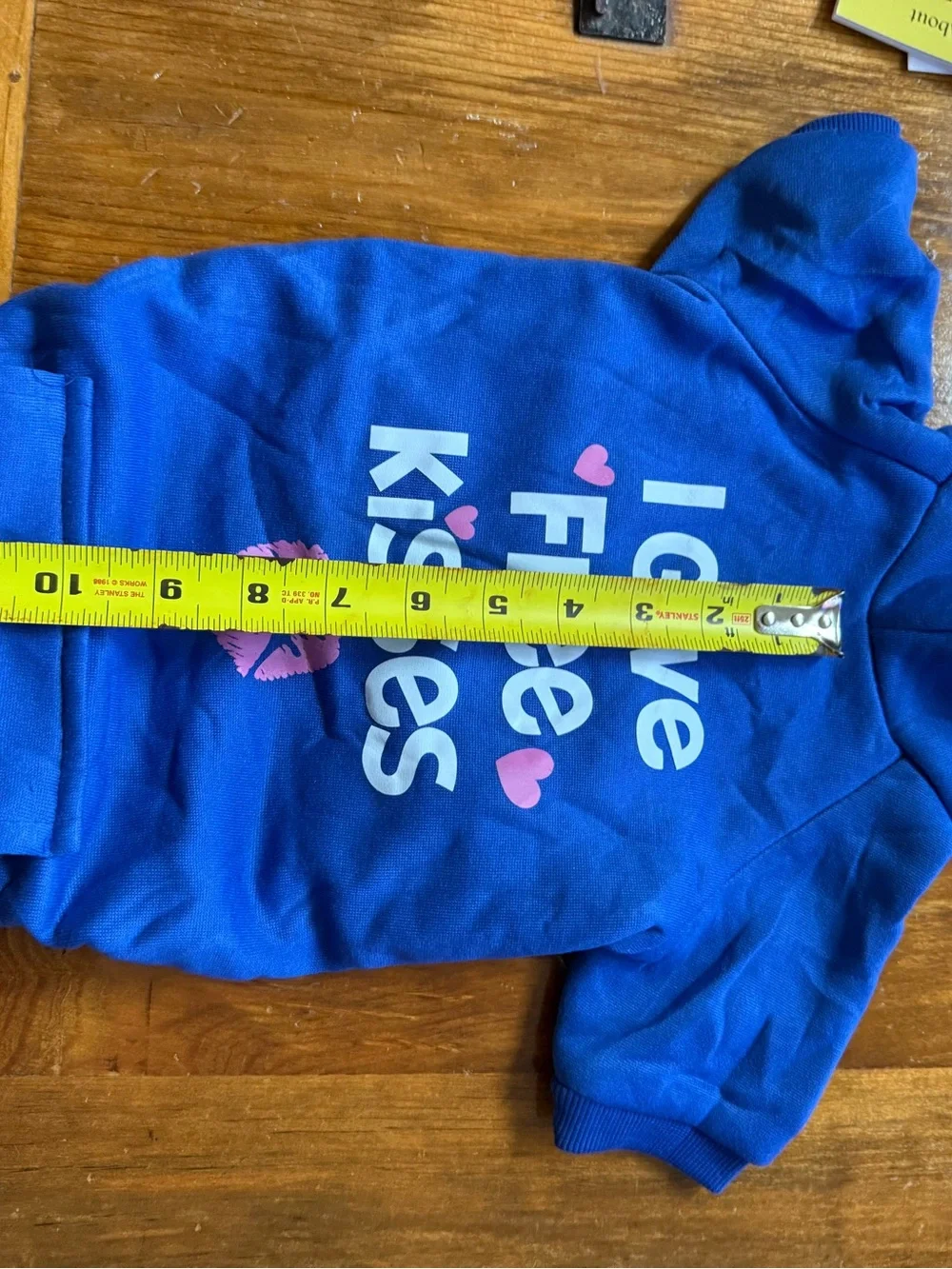 Blue 'I Give Free Kisses' Hooded Pet Shirt